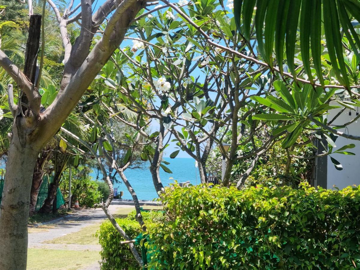 Oceanami Resort Sea View Long Hai Exteriör bild