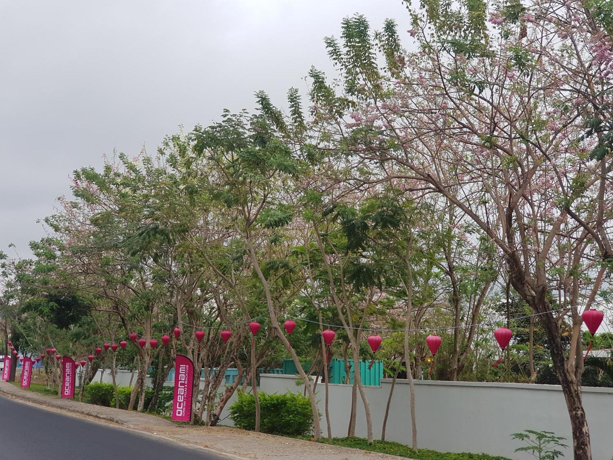 Oceanami Resort Sea View Long Hai Exteriör bild