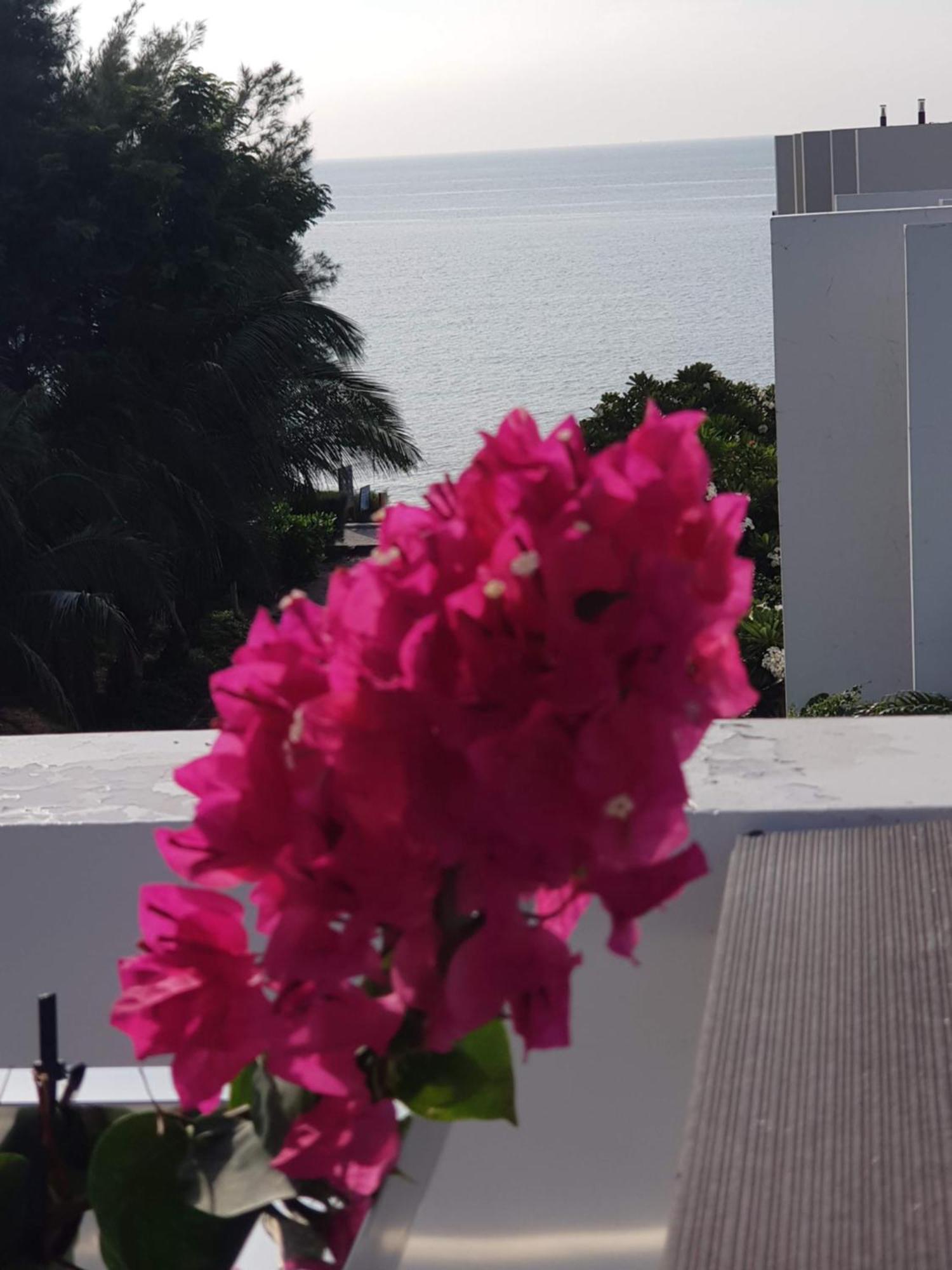 Oceanami Resort Sea View Long Hai Exteriör bild